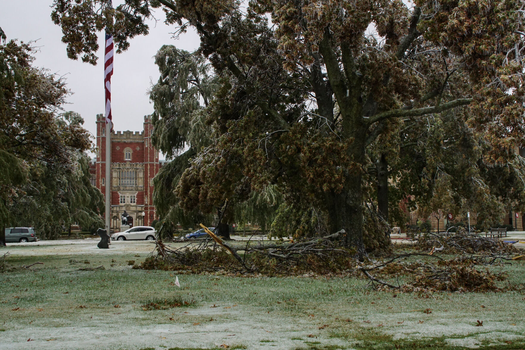 Broken tree
